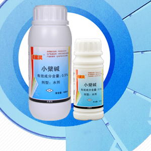 沃柑潰瘍病專用藥——潰腐靈 價格、廠家與產品詳解